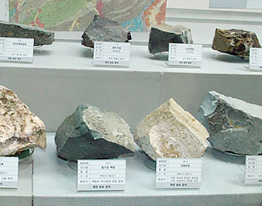 대전의 암석표본 사진