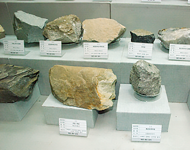 대전의 암석표본 사진
